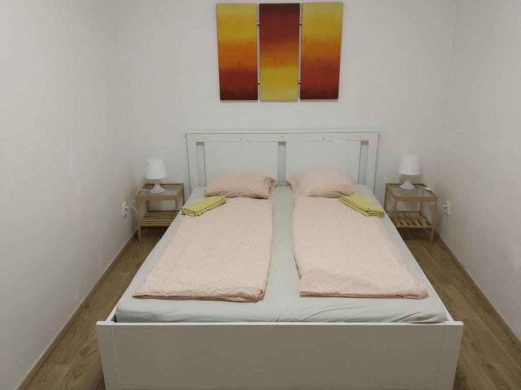 Apartments Near The Center With Privat Parking Brno Bagian luar foto