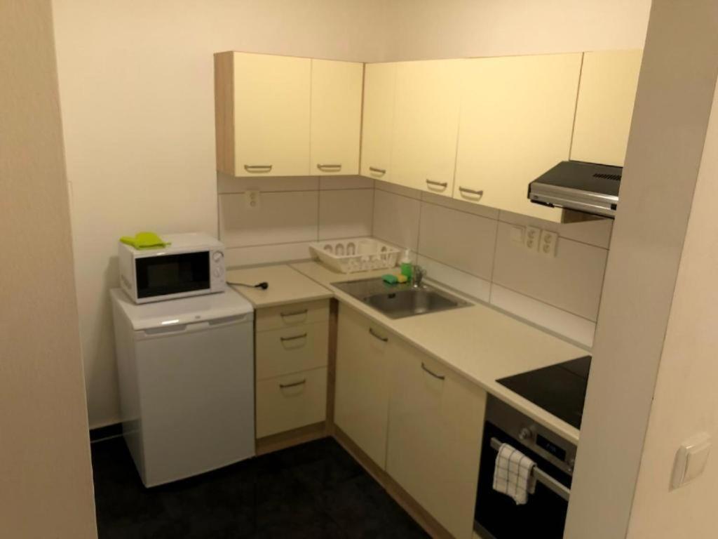 Apartments Near The Center With Privat Parking Brno Bagian luar foto