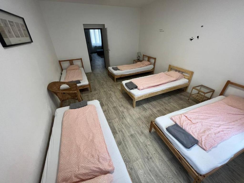 Apartments Near The Center With Privat Parking Brno Bagian luar foto